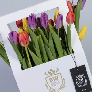 Floral Arte Canasta || AC.001 - Imagen 3
