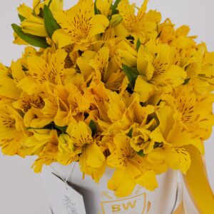 Arte Floral Box || AF.006 - Imagen 3