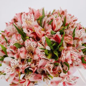 Arte Floral Box || AF.016 - Imagen 4