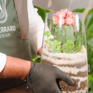 Suculentas & Cactus Premium || 001 - Imagen 4