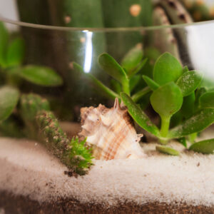 Suculentas & Cactus Premium || 002 - Imagen 2