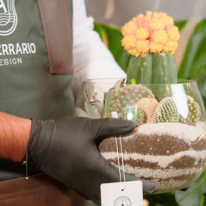Suculentas & Cactus Premium || 002 - Imagen 3