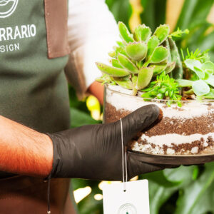 Suculentas & Cactus Premium || 003 - Imagen 3