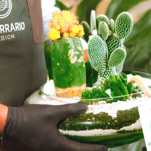 Suculentas & Cactus Premium || 005 - Imagen 3