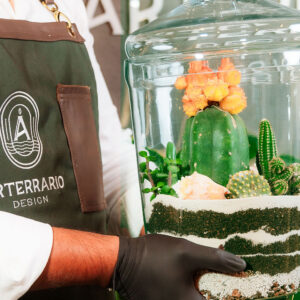 Suculentas & Cactus Premium || 006 - Imagen 3