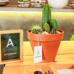 Suculentas & Cactus Premium || 007 - Imagen 3