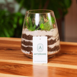 Suculentas & Cactus Premium || 008