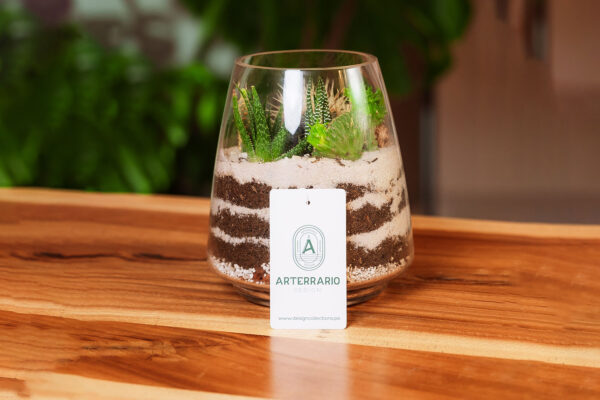 Suculentas & Cactus Premium || 008