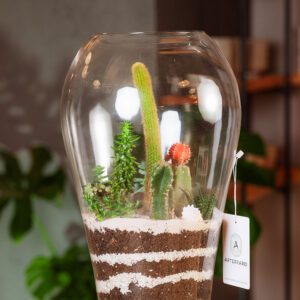 Suculentas & Cactus Premium || 009 - Imagen 4
