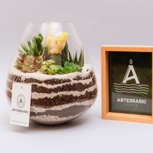 Suculentas & Cactus Premium || 011 - Imagen 3