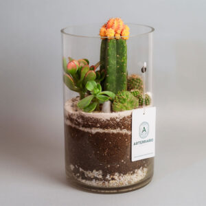 Suculentas & Cactus Premium || 014